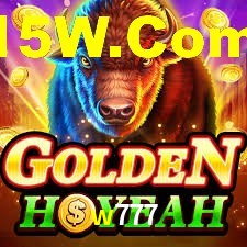 w777 App Interface